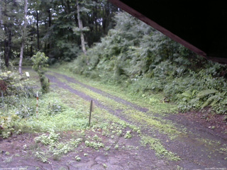 長野県菅平高原 ゆたか山荘 東側(坂下) 2025/08/07 08:30