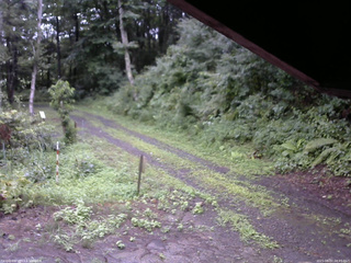 長野県菅平高原 ゆたか山荘 東側(坂下) 2025/08/07 08:45
