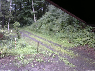 長野県菅平高原 ゆたか山荘 東側(坂下) 2025/08/07 09:15