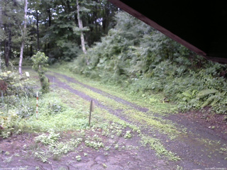 長野県菅平高原 ゆたか山荘 東側(坂下) 2025/08/07 09:30