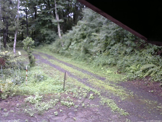 長野県菅平高原 ゆたか山荘 東側(坂下) 2025/08/07 09:45