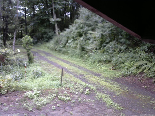長野県菅平高原 ゆたか山荘 東側(坂下) 2025/08/07 10:00