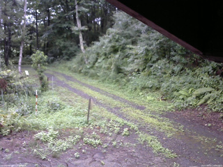 長野県菅平高原 ゆたか山荘 東側(坂下) 2025/08/07 10:30