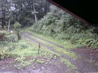 長野県菅平高原 ゆたか山荘 東側(坂下) 2025/08/07 11:00