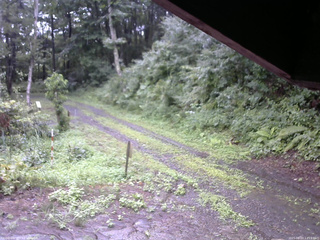 長野県菅平高原 ゆたか山荘 東側(坂下) 2025/08/07 11:15