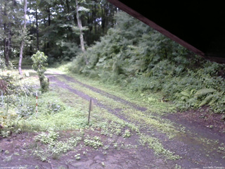 長野県菅平高原 ゆたか山荘 東側(坂下) 2025/08/07 12:30