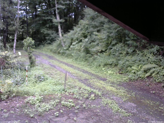 長野県菅平高原 ゆたか山荘 東側(坂下) 2025/08/07 13:15