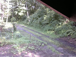 長野県菅平高原 ゆたか山荘 東側(坂下) 2025/08/07 14:15