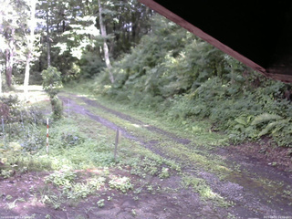 長野県菅平高原 ゆたか山荘 東側(坂下) 2025/08/07 14:30