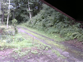 長野県菅平高原 ゆたか山荘 東側(坂下) 2025/08/07 15:30