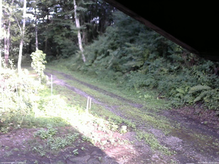 長野県菅平高原 ゆたか山荘 東側(坂下) 2025/08/07 16:45