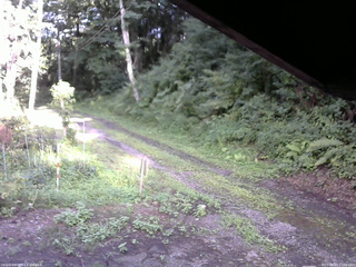 長野県菅平高原 ゆたか山荘 東側(坂下) 2025/08/07 17:00