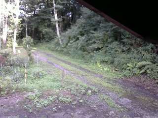 長野県菅平高原 ゆたか山荘 東側(坂下) 2025/08/07 17:15