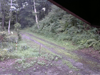 長野県菅平高原 ゆたか山荘 東側(坂下) 2025/08/07 17:30