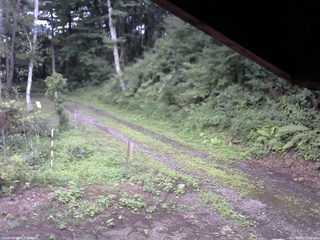 長野県菅平高原 ゆたか山荘 東側(坂下) 2025/08/07 17:45