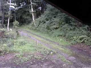 長野県菅平高原 ゆたか山荘 東側(坂下) 2025/08/07 18:00