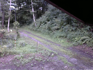 長野県菅平高原 ゆたか山荘 東側(坂下) 2025/08/07 18:15