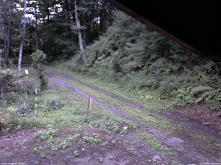 長野県菅平高原 ゆたか山荘 東側(坂下) 2025/08/07 18:30
