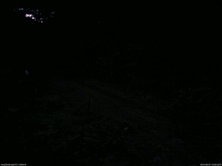 長野県菅平高原 ゆたか山荘 東側(坂下) 2025/08/07 19:00