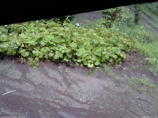 長野県菅平高原 ゆたか山荘 駐車場 2025/08/07 07:15