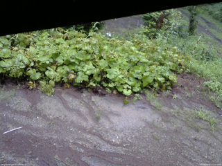 長野県菅平高原 ゆたか山荘 駐車場 2025/08/07 07:30