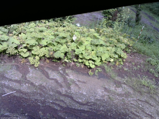長野県菅平高原 ゆたか山荘 駐車場 2025/08/07 15:00