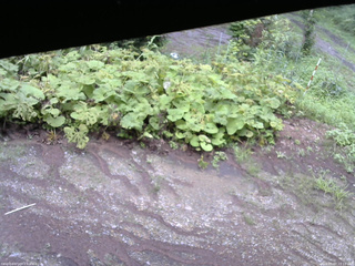 長野県菅平高原 ゆたか山荘 駐車場 2025/08/07 15:15
