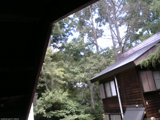 長野県菅平高原 ゆたか山荘 北側 2025/08/08 11:30