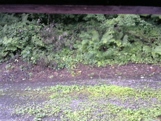 長野県菅平高原 ゆたか山荘 南側 2025/08/08 07:15