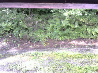 長野県菅平高原 ゆたか山荘 南側 2025/08/08 07:30