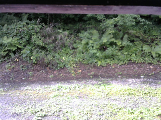 長野県菅平高原 ゆたか山荘 南側 2025/08/08 08:00