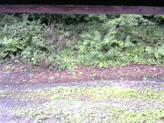 長野県菅平高原 ゆたか山荘 南側 2025/08/08 08:15