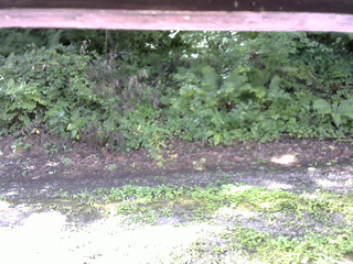 長野県菅平高原 ゆたか山荘 南側 2025/08/08 08:45