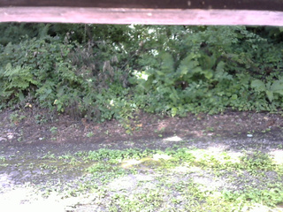 長野県菅平高原 ゆたか山荘 南側 2025/08/08 09:00