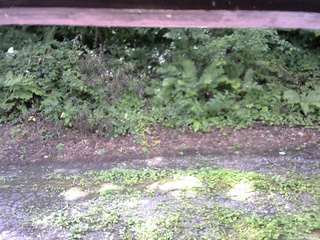 長野県菅平高原 ゆたか山荘 南側 2025/08/08 09:15