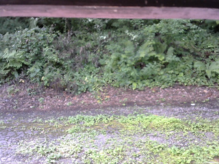 長野県菅平高原 ゆたか山荘 南側 2025/08/08 09:45