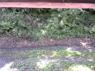 長野県菅平高原 ゆたか山荘 南側 2025/08/08 10:00