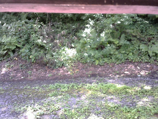 長野県菅平高原 ゆたか山荘 南側 2025/08/08 10:15