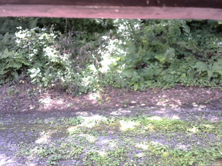 長野県菅平高原 ゆたか山荘 南側 2025/08/08 10:30