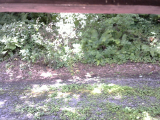 長野県菅平高原 ゆたか山荘 南側 2025/08/08 10:45