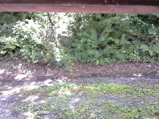 長野県菅平高原 ゆたか山荘 南側 2025/08/08 11:00