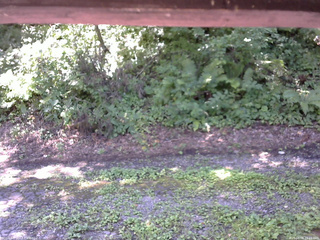 長野県菅平高原 ゆたか山荘 南側 2025/08/08 11:15