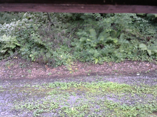 長野県菅平高原 ゆたか山荘 南側 2025/08/08 11:30