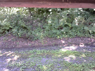 長野県菅平高原 ゆたか山荘 南側 2025/08/08 11:45