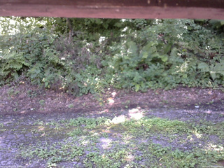 長野県菅平高原 ゆたか山荘 南側 2025/08/08 12:00