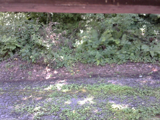 長野県菅平高原 ゆたか山荘 南側 2025/08/08 12:15