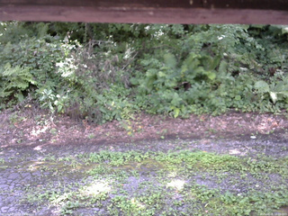 長野県菅平高原 ゆたか山荘 南側 2025/08/08 12:30