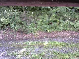 長野県菅平高原 ゆたか山荘 南側 2025/08/08 12:45