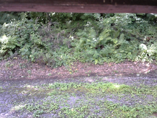 長野県菅平高原 ゆたか山荘 南側 2025/08/08 13:00