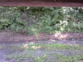 長野県菅平高原 ゆたか山荘 南側 2025/08/08 13:15